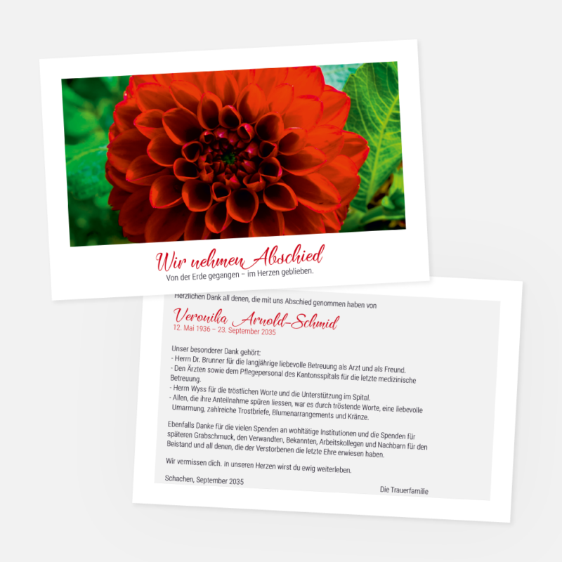 Danksagungskarten mit roten Dahlien. Einladung zur Trauerfeier in der Farbe rot drucken.