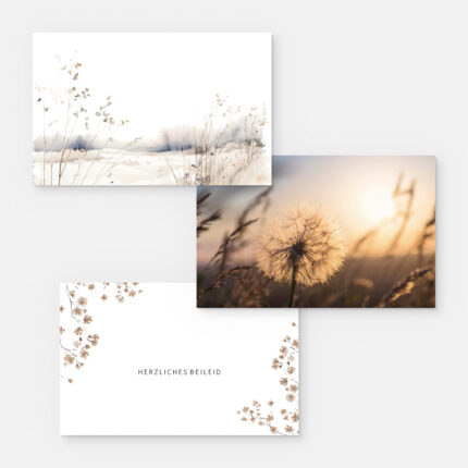 Drei Beileidskarten mit zarten, pastellfarbenen Blumen- und Naturmotiven. Eine zeigt zarte Wildblumen, eine andere eine Pusteblume bei Sonnenuntergang und auf der dritten steht "Herzliches Beileid", umgeben von kleinen Blumen.