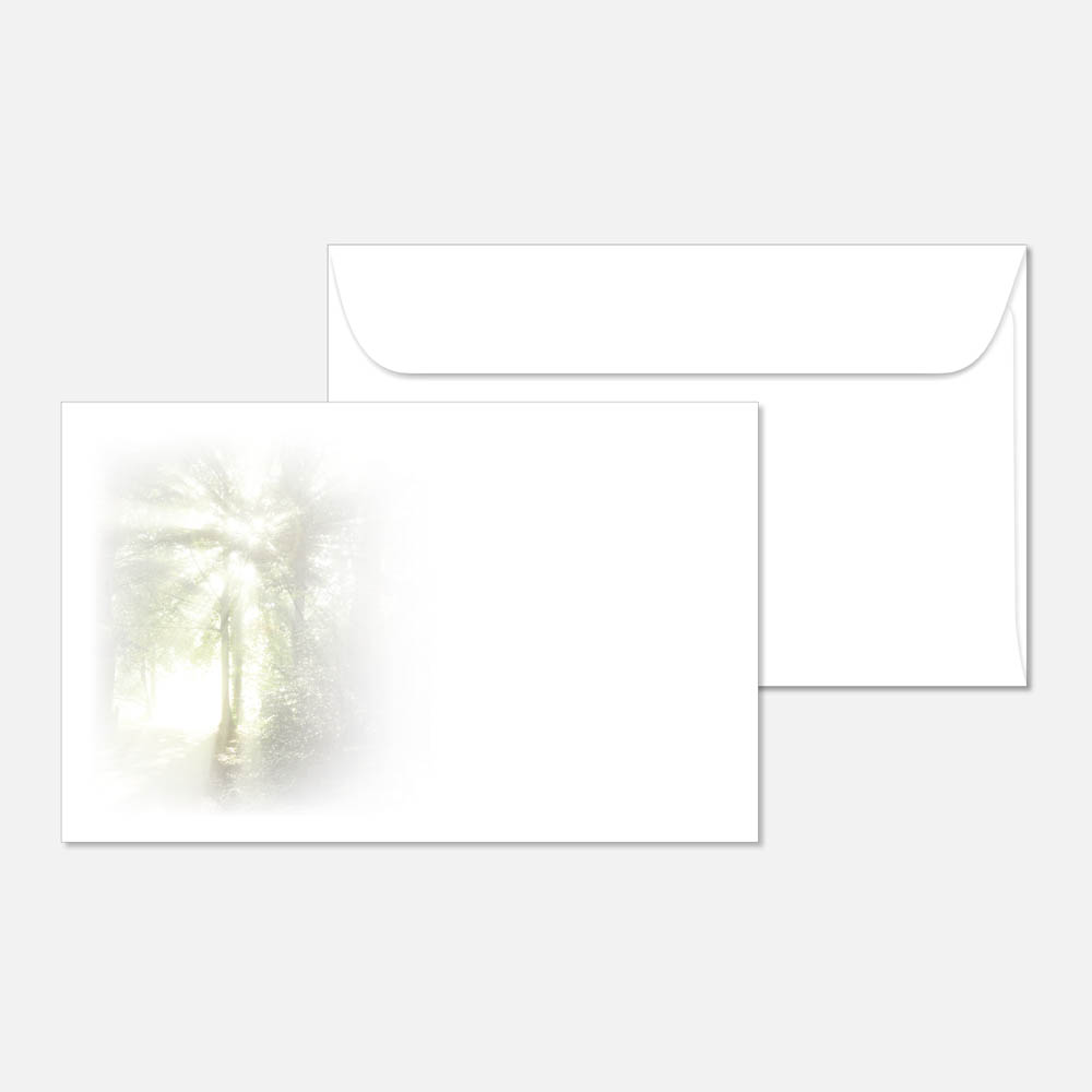 kuvert-licht-im-wald-st-88165-120-vorschau1 Eine Grußkarte und ein Umschlag mit einem weichen, verblassten Bild des Sonnenlichts, das durch die Bäume eines Waldes auf der linken Seite der Karte fällt; der Rest der Karte und des Umschlags sind schlicht weiß.