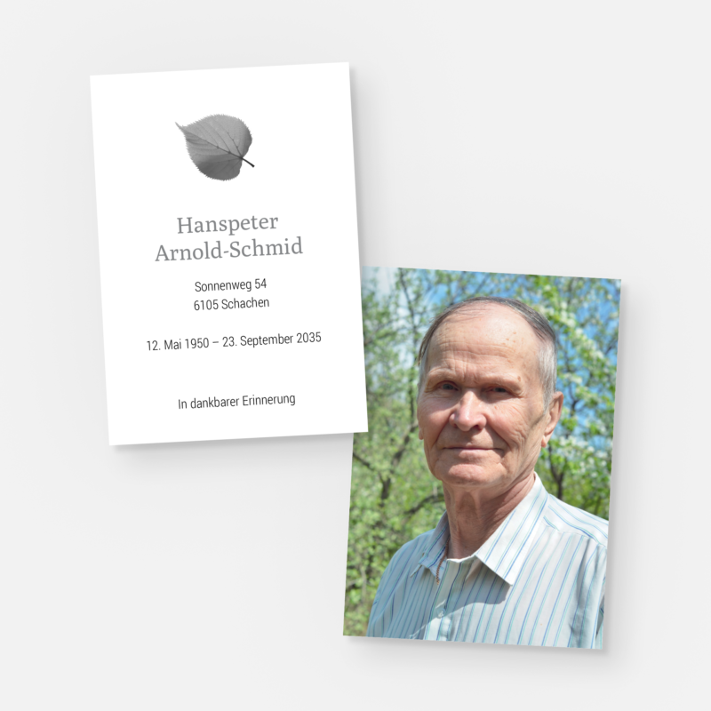 leidbilder birke st 1316 010 vorschau1