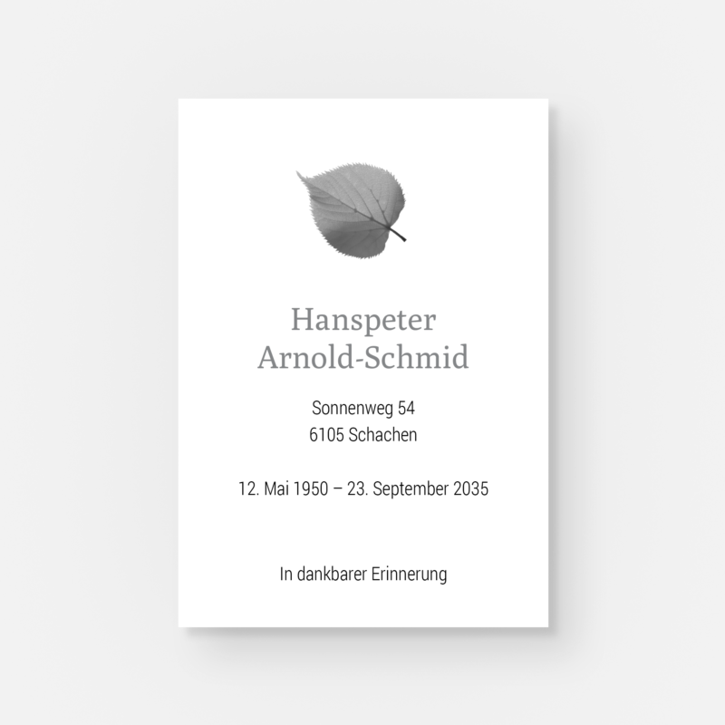 leidbilder birke st 1316 010 vorschau2