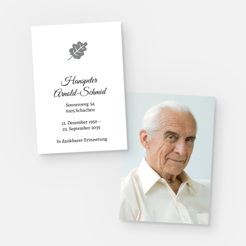 leidbilder blatt st 1304 010 vorschau1