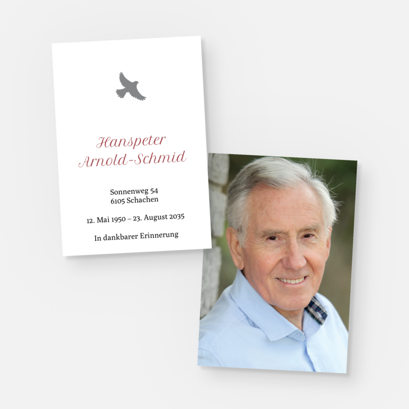 leidbilder moewe st 1312 010 vorschau1