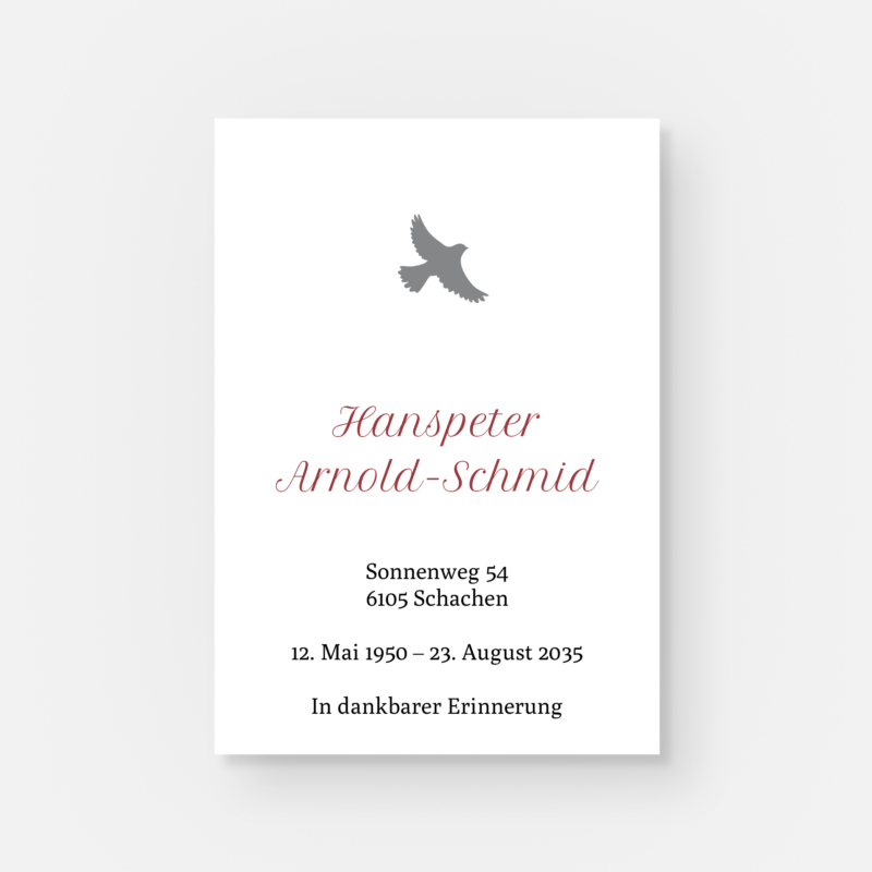 leidbilder moewe st 1312 010 vorschau2