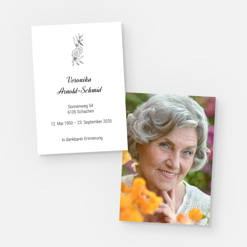 leidbilder veilchen st 1313 010 vorschau1