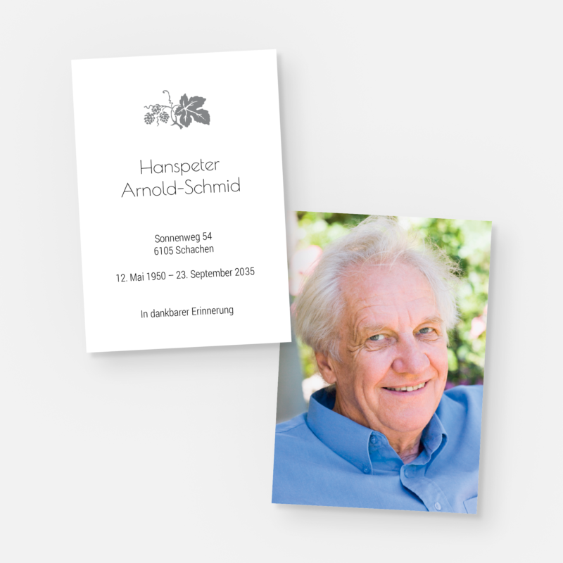 leidbilder weinrebe st 1314 010 vorschau1