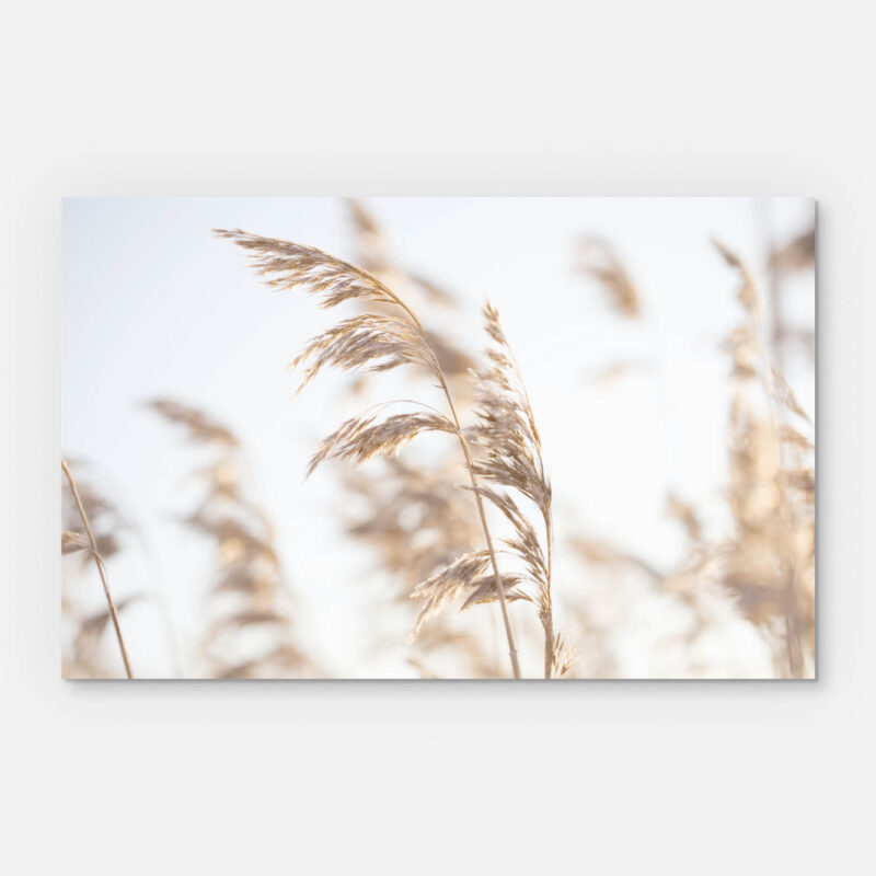 vorschaubilder kondolenzkarten 3er sets stille 2