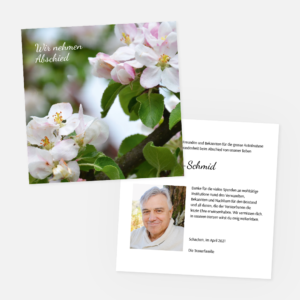 Die Trauerkarte Apfelblüte quadratisch ist eine doppelseitige Karte mit blühenden Apfelblüten und dem Text "Wir nehmen Abschied" auf der Vorderseite und dem Foto eines älteren Mannes und einer deutschen Dankesbotschaft seiner Familie auf der Rückseite.