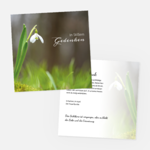 Zwei Karten mit einer weißen Schneeglöckchenblüte auf grünem Hintergrund; auf der Vorderseite steht "In stillem Gedenken" und auf der Innenseite befindet sich eine deutsche Beileidsbekundung.