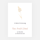 Leidbild Trockenblume – Bild 2