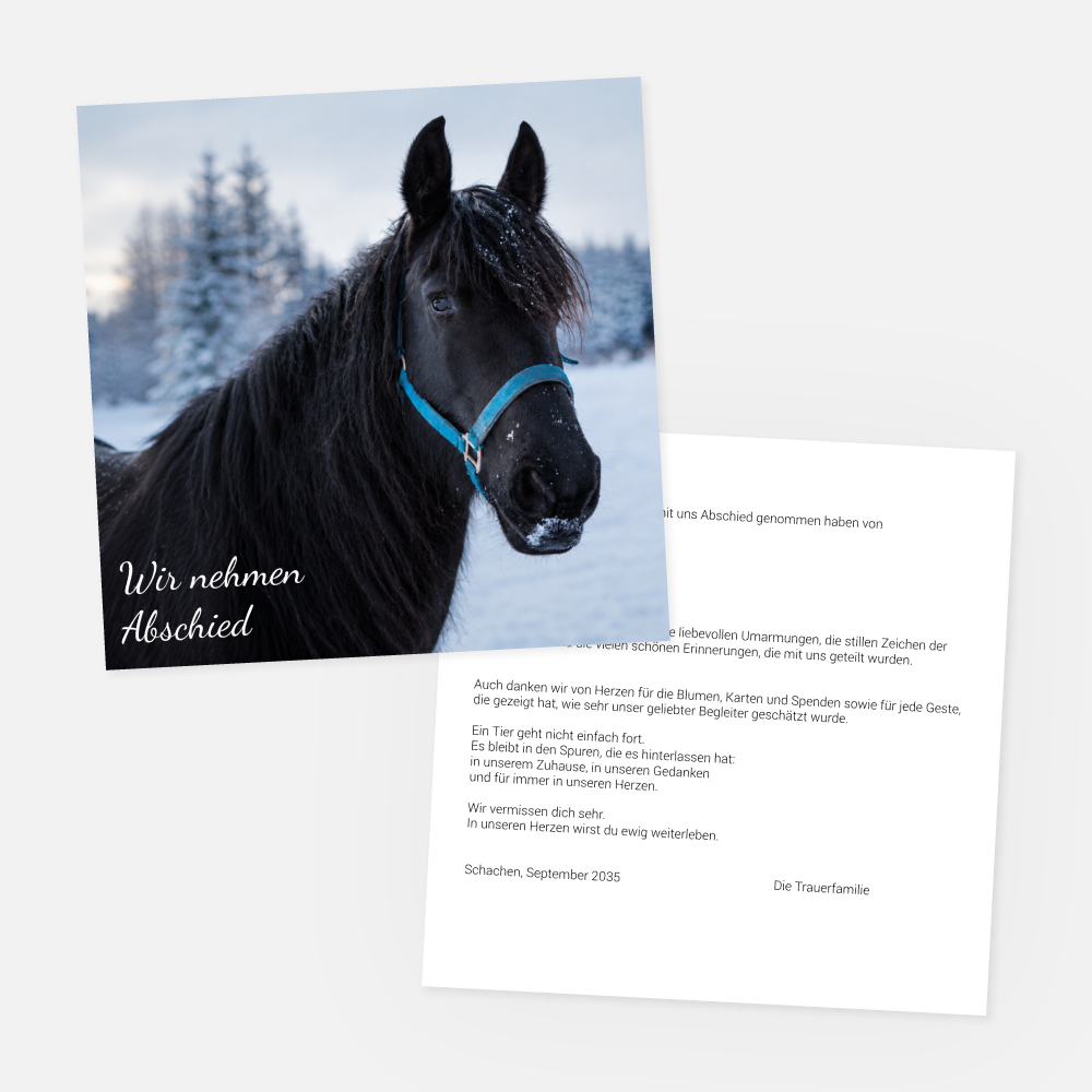 trauerkarte-tiere-quadratisch-2-seitig-vorschau1 Auf der quadratischen Trauerkarte „Haustiere“ ist ein schwarzes Pferd mit einem blauen Halfter im Schnee abgebildet. Auf der Vorderseite steht „Wir nehmen Abschied“, und im Inneren finden Sie eine herzliche Botschaft auf Deutsch.